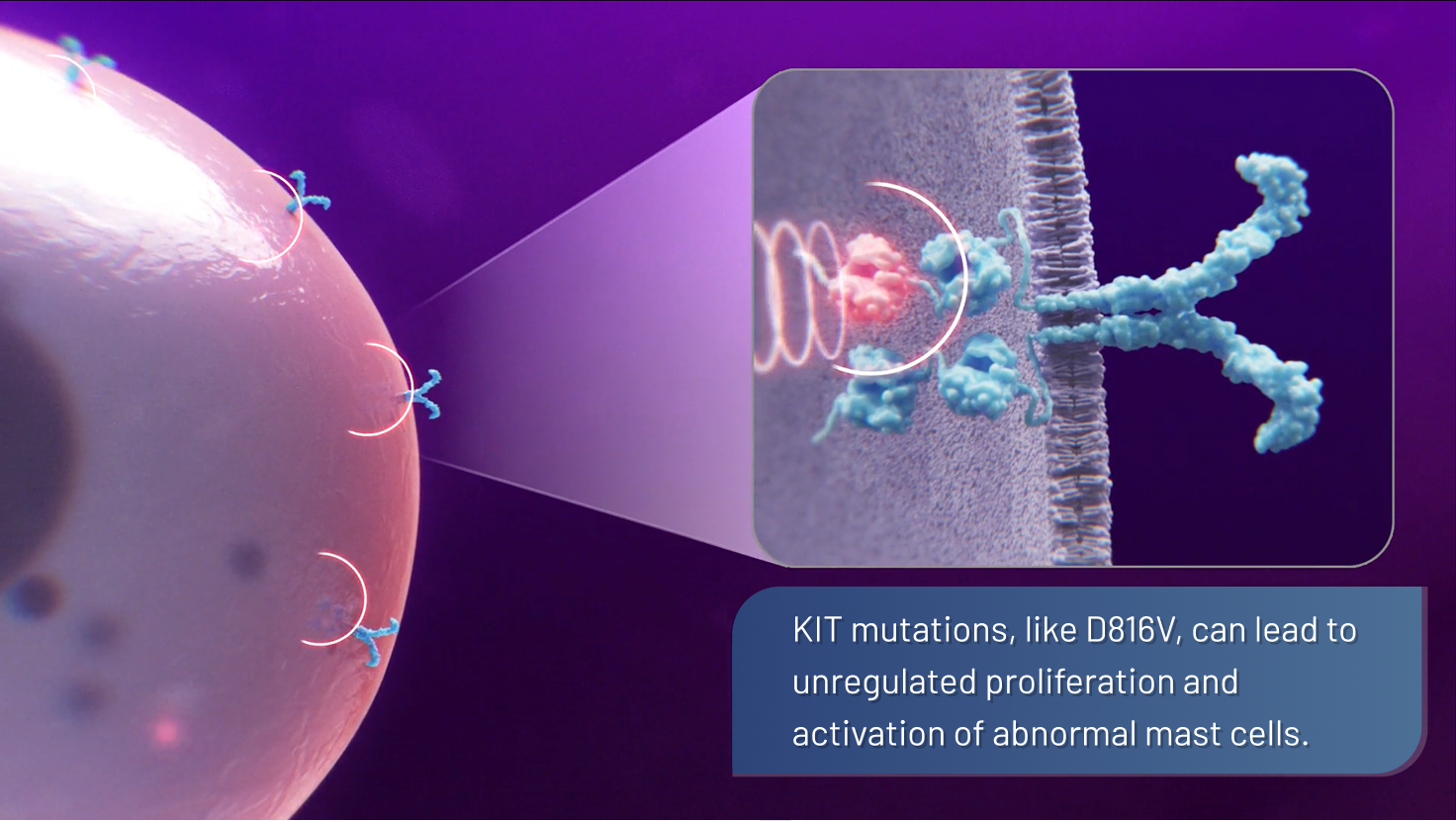 Approximately 95% of cases involve the KIT D816V mutation
