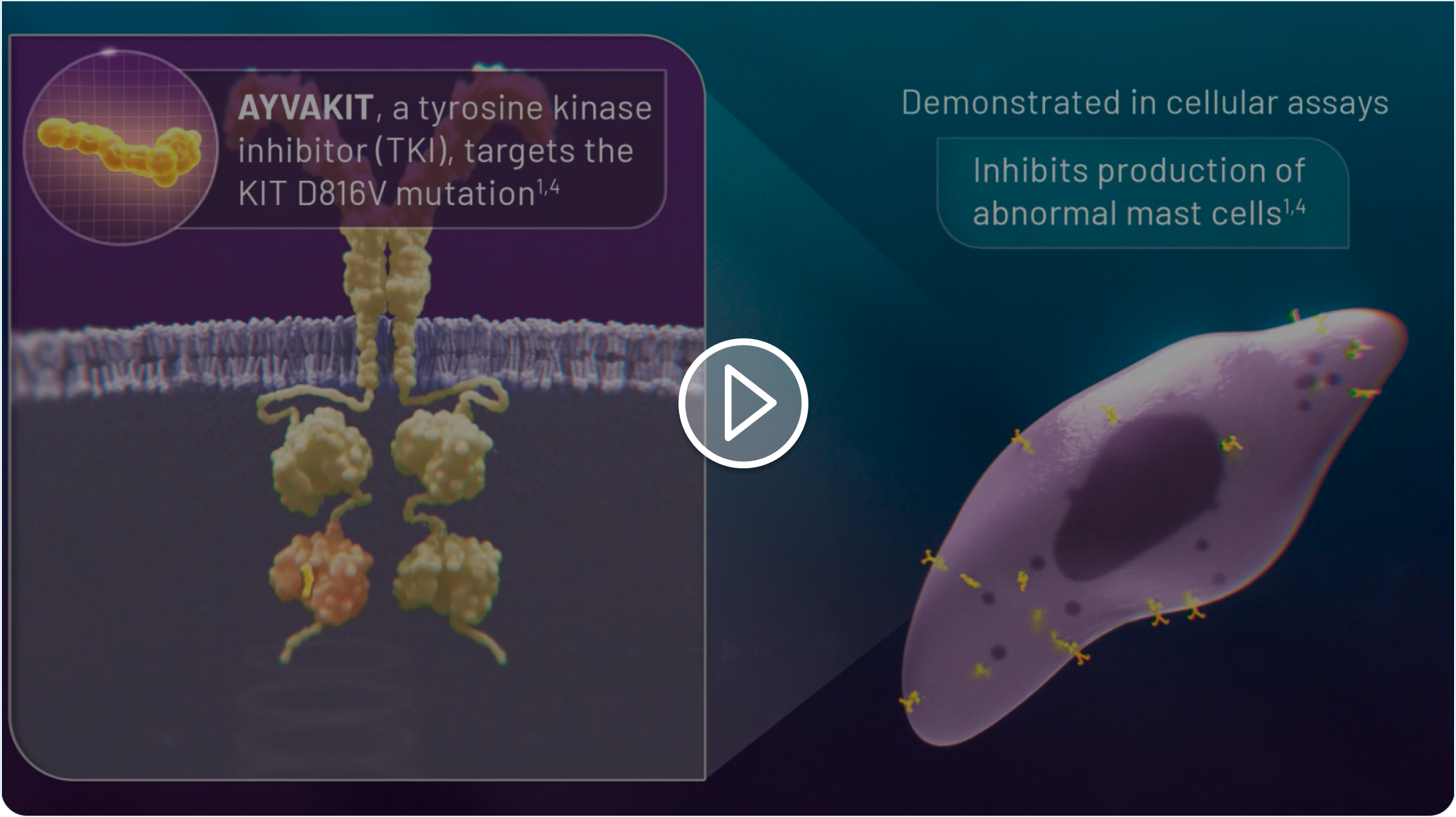 How AYVAKIT® (avapritinib) targets the KIT D816V mutation